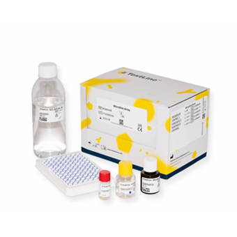 Microblot-Array Mycoplasma IgA